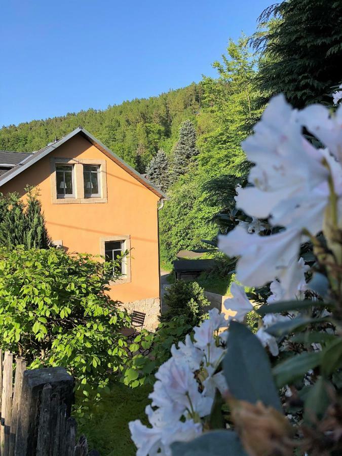 Fuchsbau Lejlighed Königstein an der Elbe Eksteriør billede